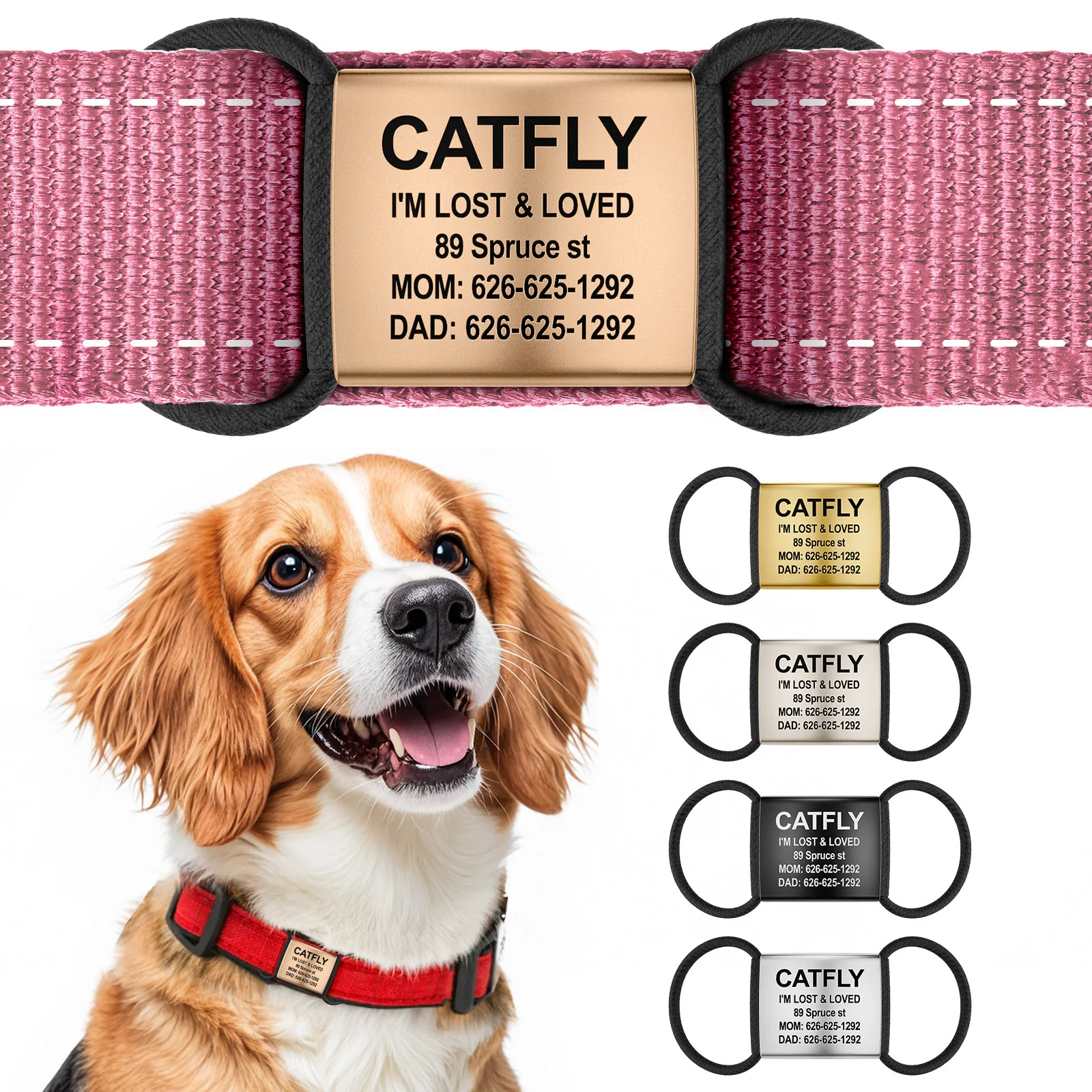 Etiqueta de nombre personalizable para perro y gato