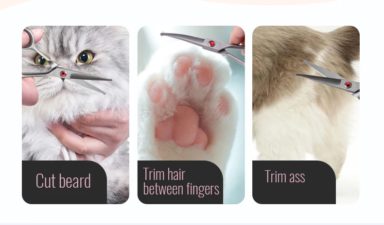 Mano utilizando las tijeras en la oreja de un perro