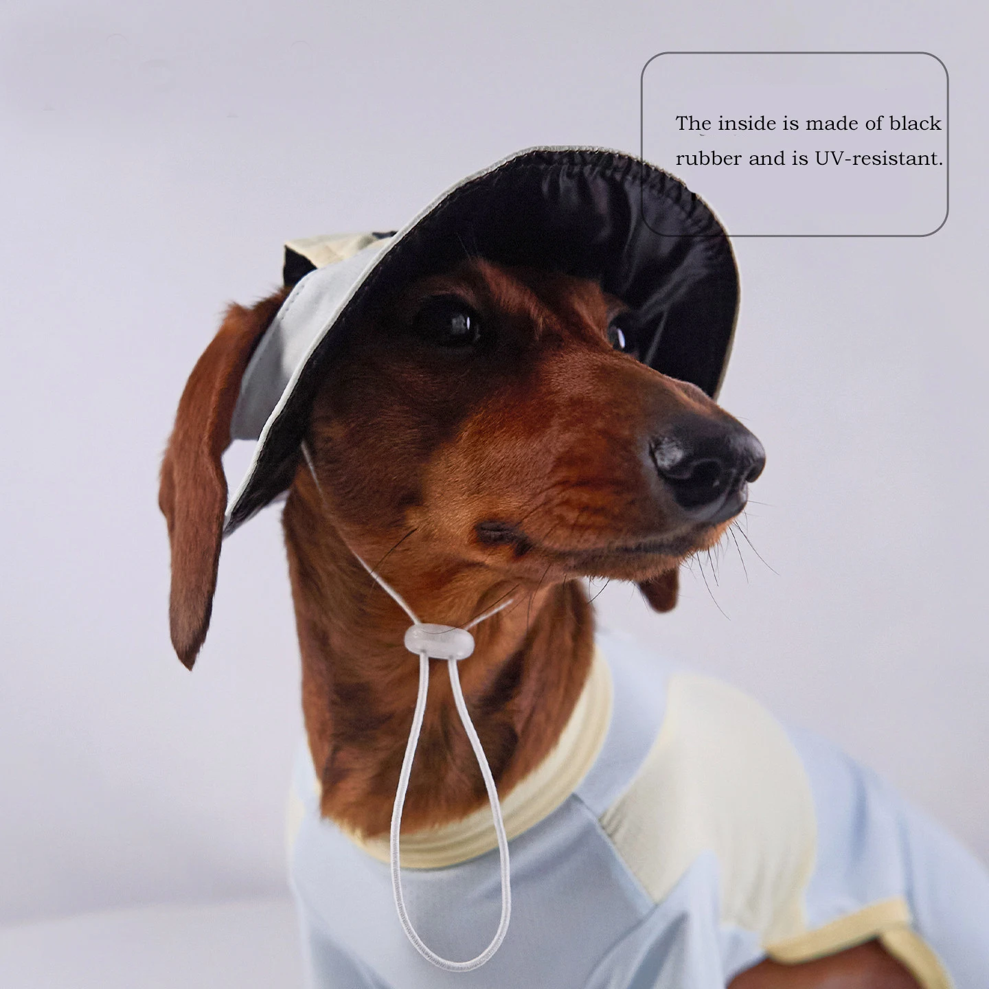 Perro wearing la gorra en un jardín soleado, demostrando ajuste cómodo