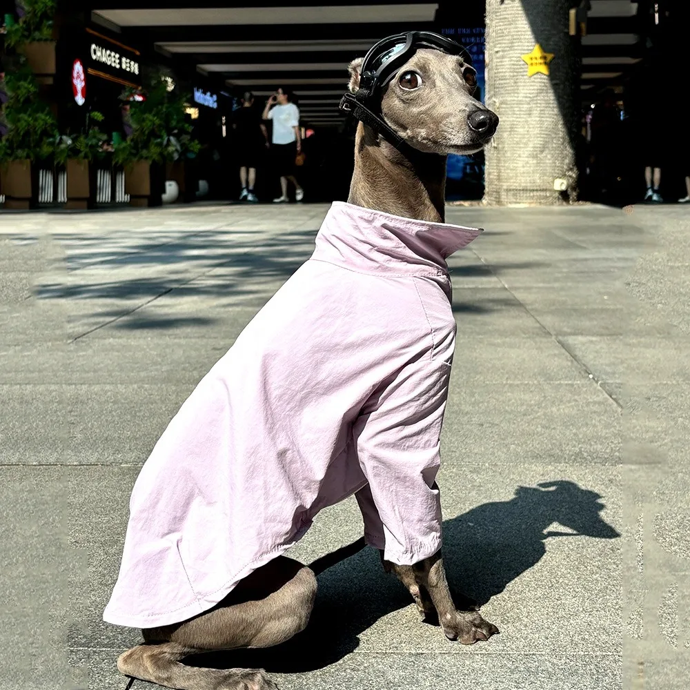 Camiseta anti-UV para perros Greyhound y Whippet, secado rápido