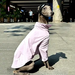 Camiseta anti-UV para perros Greyhound y Whippet, secado rápido
