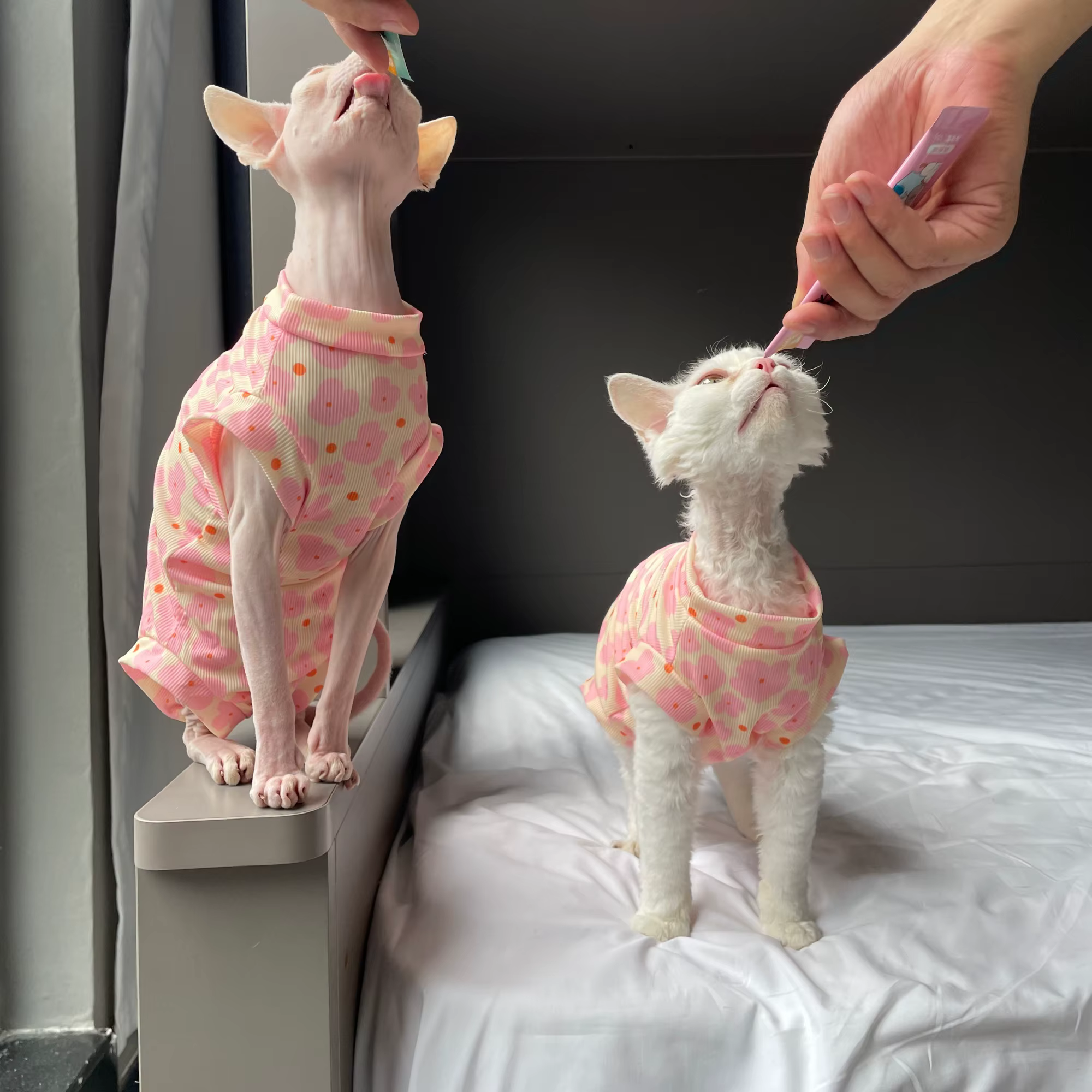 Pijama mono floral rosa para gatos Sphynx, suave y elástico - imagen 3