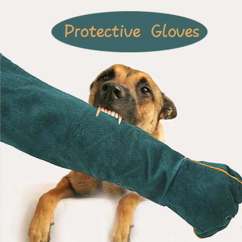 Guantes de cuero verde con protección de brazo largo