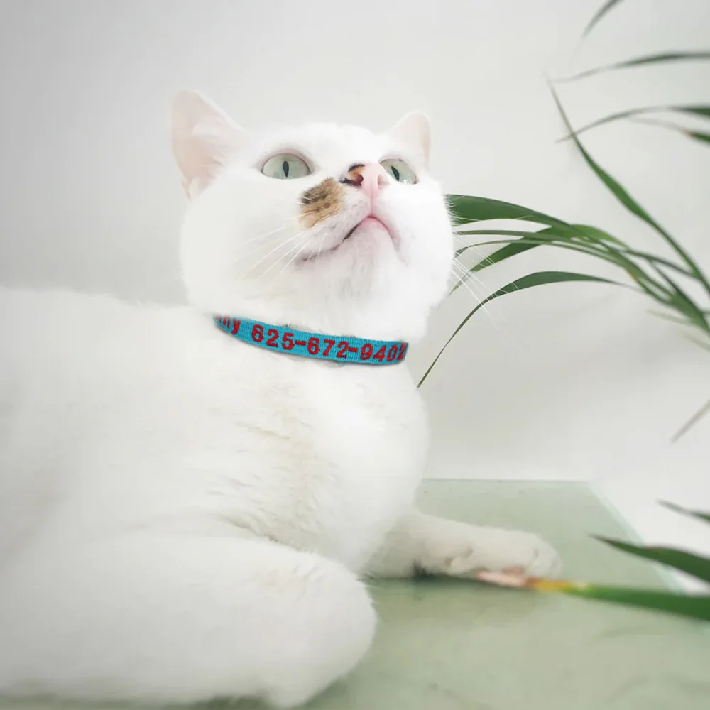 Collar seguridad gato con campana – Bordado personalizado - imagen 5