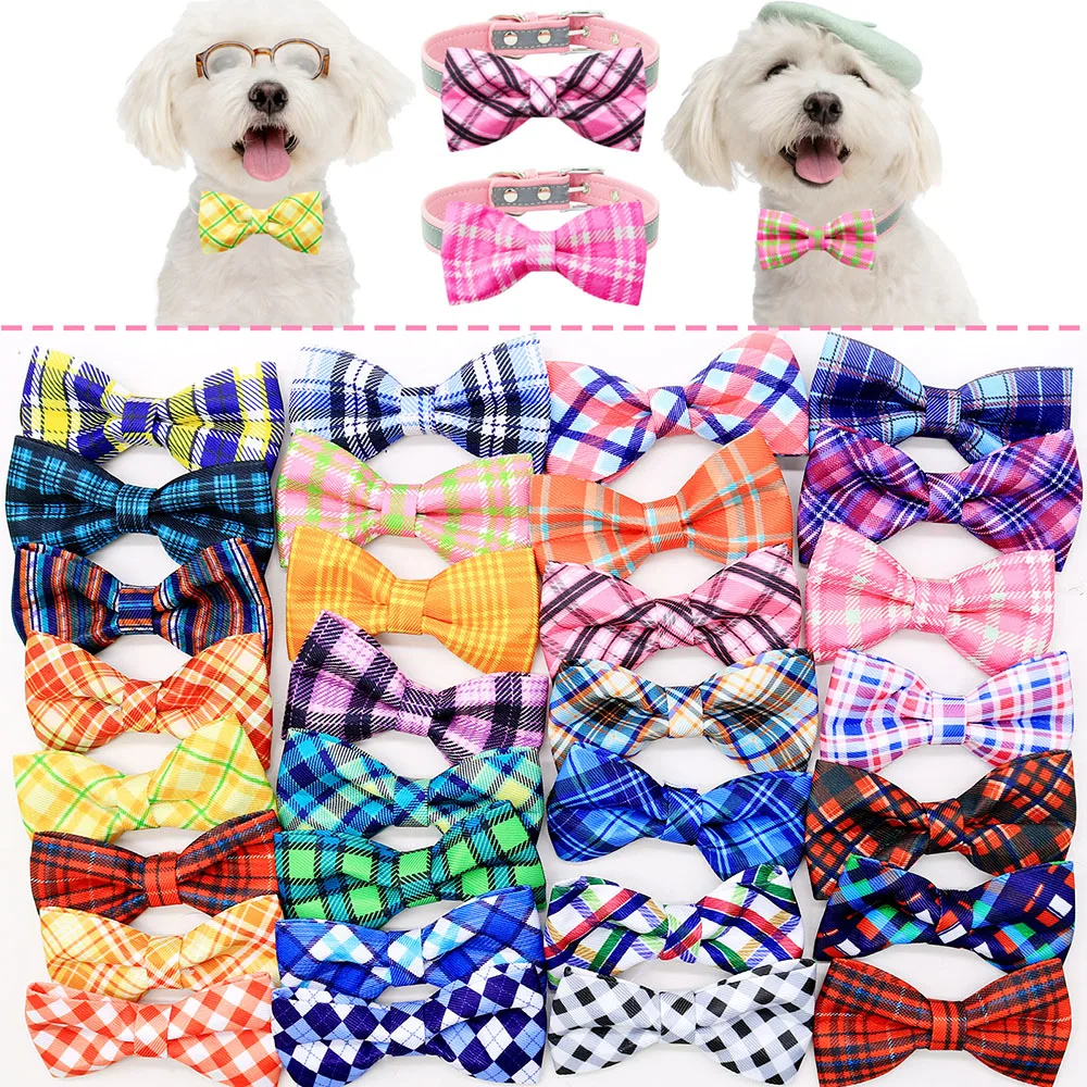 Pajaritas con diseño a cuadros Masue Pets