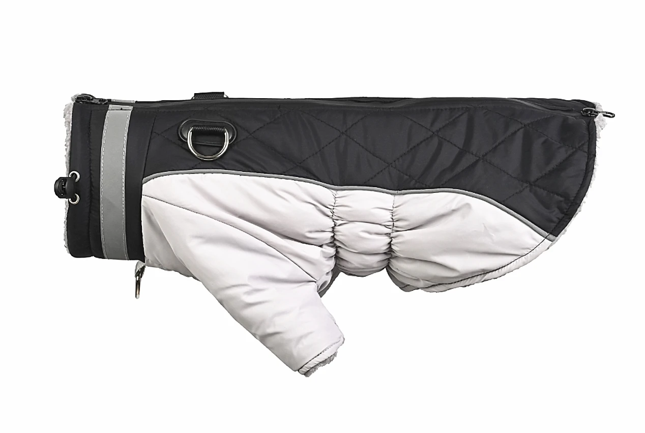 Vista trasera con anillo D