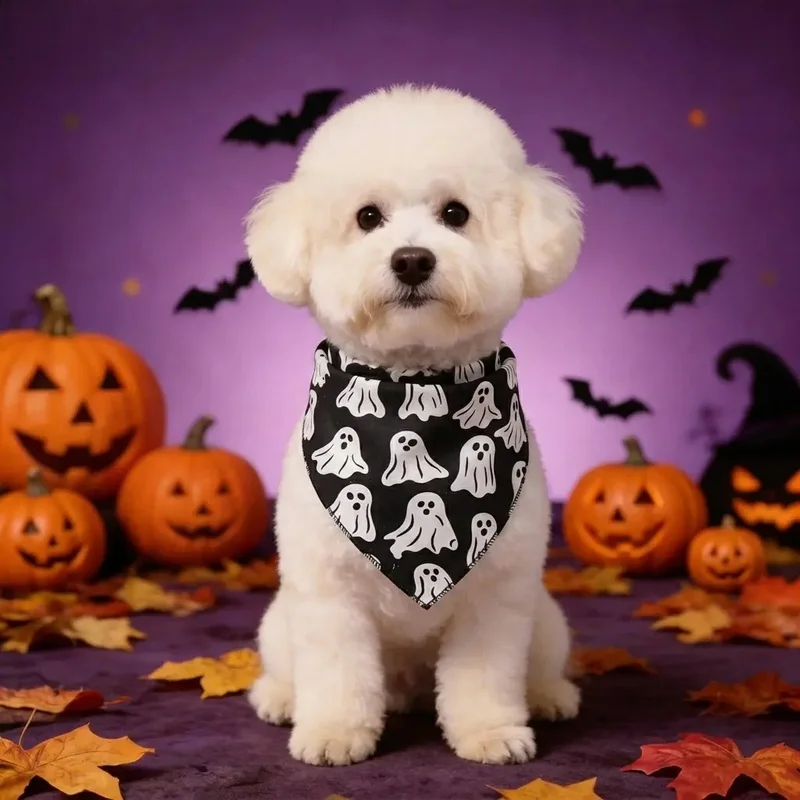 Kits de 2 Pañuelos Halloween para Perros y Gatos – Estampado Calabaza y Fantasma - imagen 2