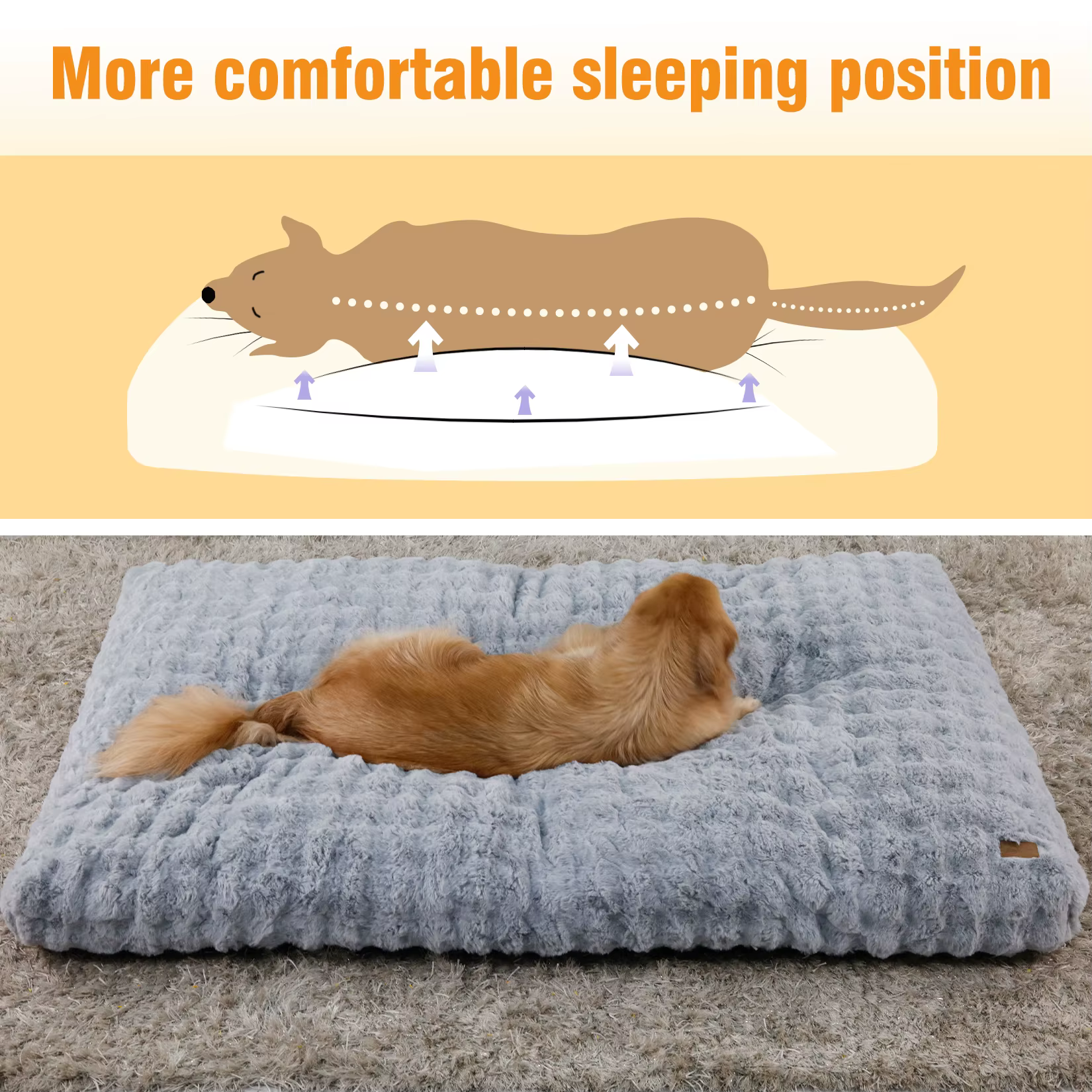 Funda extraíble y lavable de la cama para mascotas