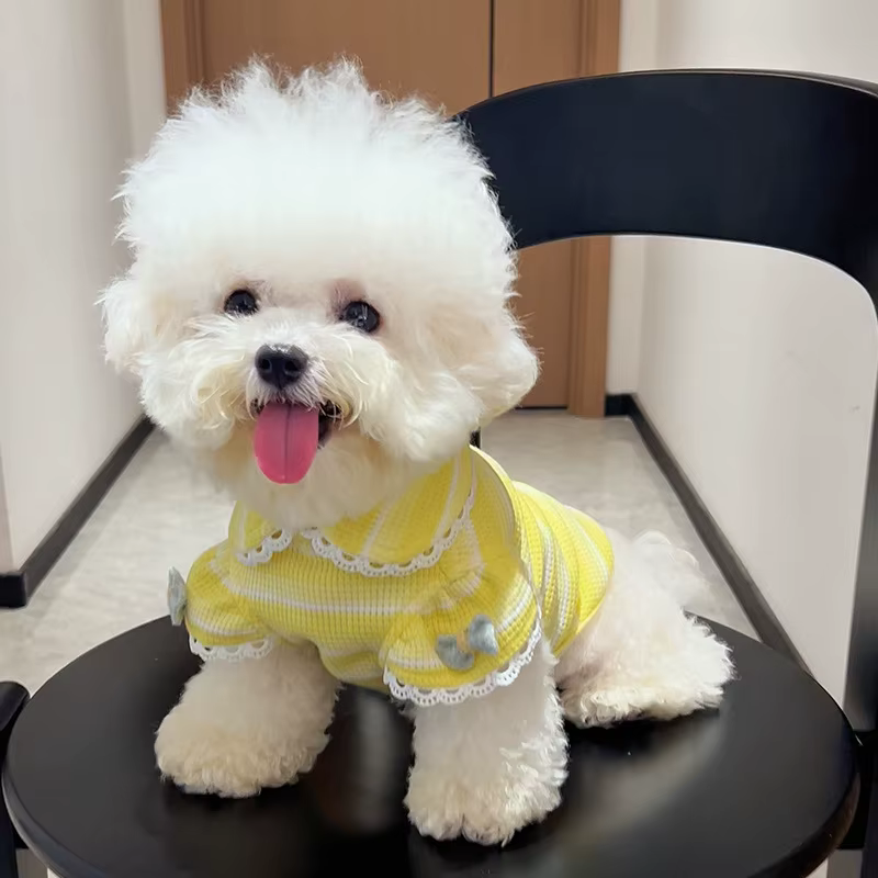 Camiseta de Verano a Rayas con Lazo para Perros Mini y Gatos