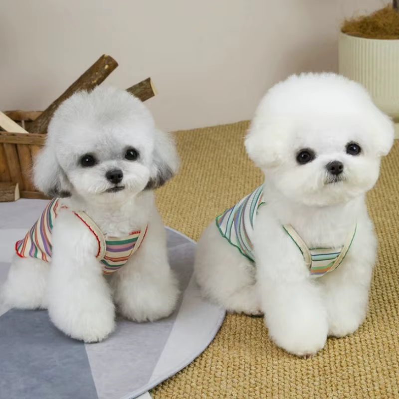 Chaleco veraniego a rayas para perros y gatos – Estampado de oso