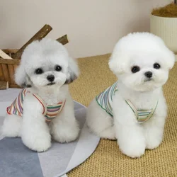 Chaleco veraniego a rayas para perros y gatos – Estampado de oso