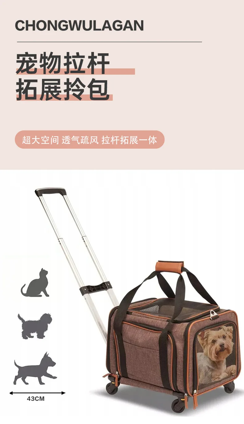 Uso del Pet Trolley Bag en urbanidad