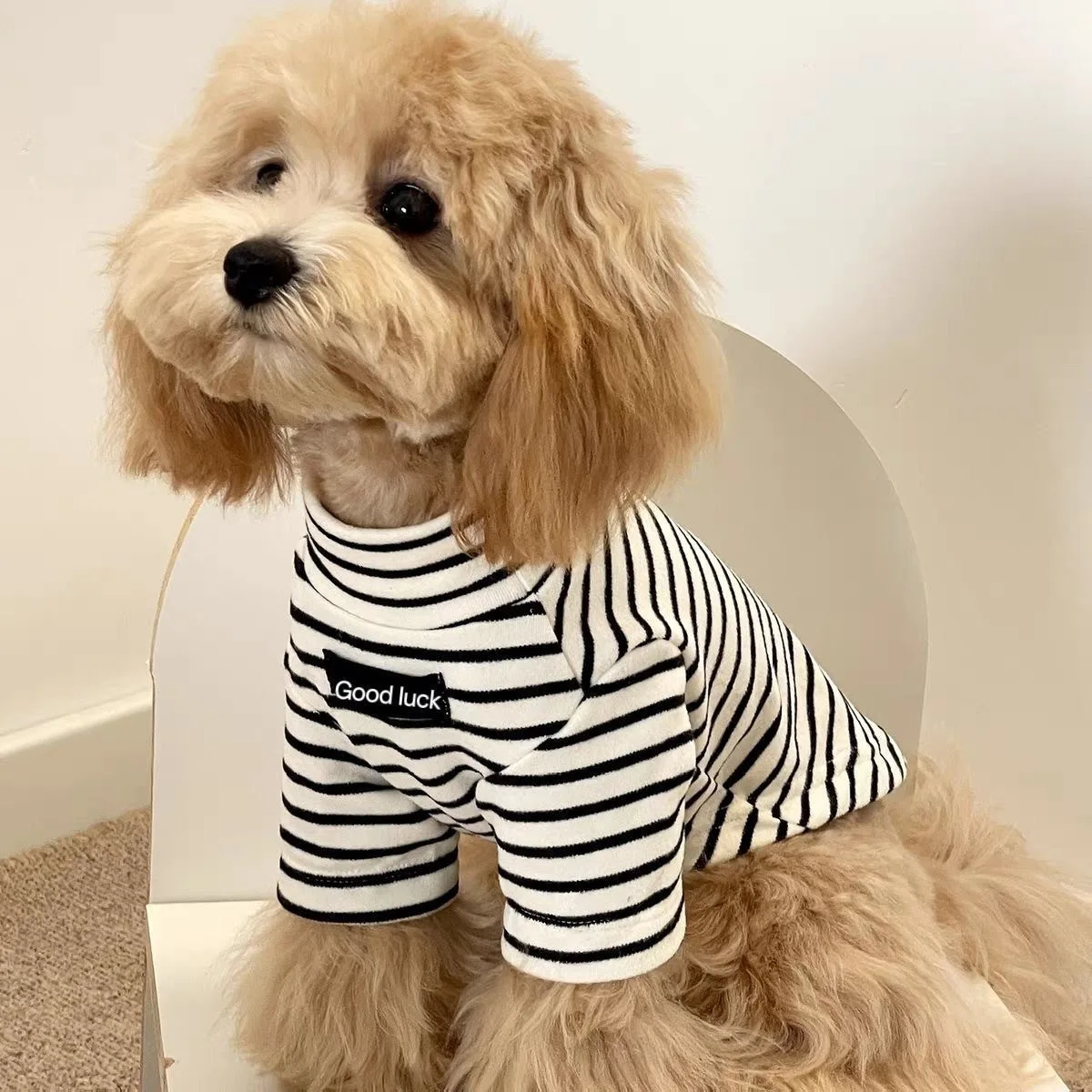 Camiseta a Rayas para Perros y Gatos – Top de Felpa