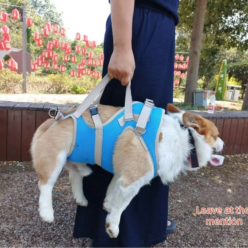 Silla de ruedas para perros con discapacidad: carrito rehabilitación - imagen 2