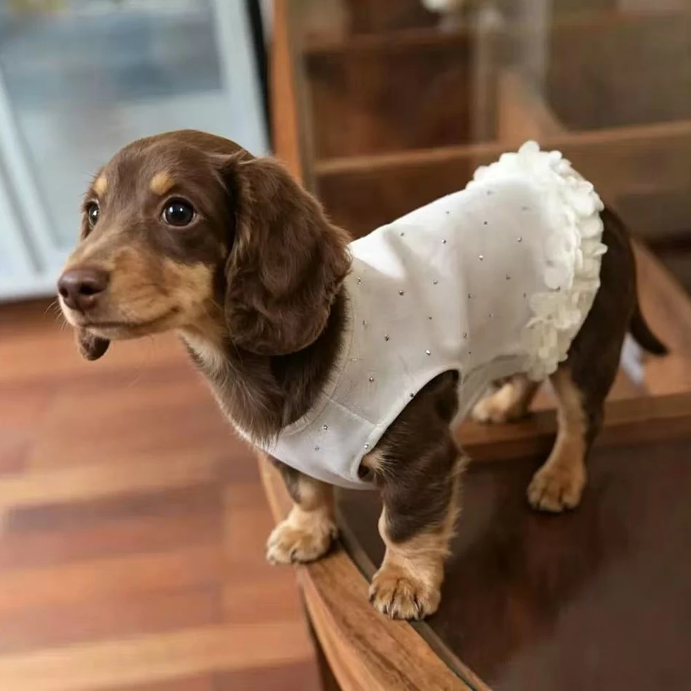 Vestido veraniego con volantes para perras Dachshund – de algodón