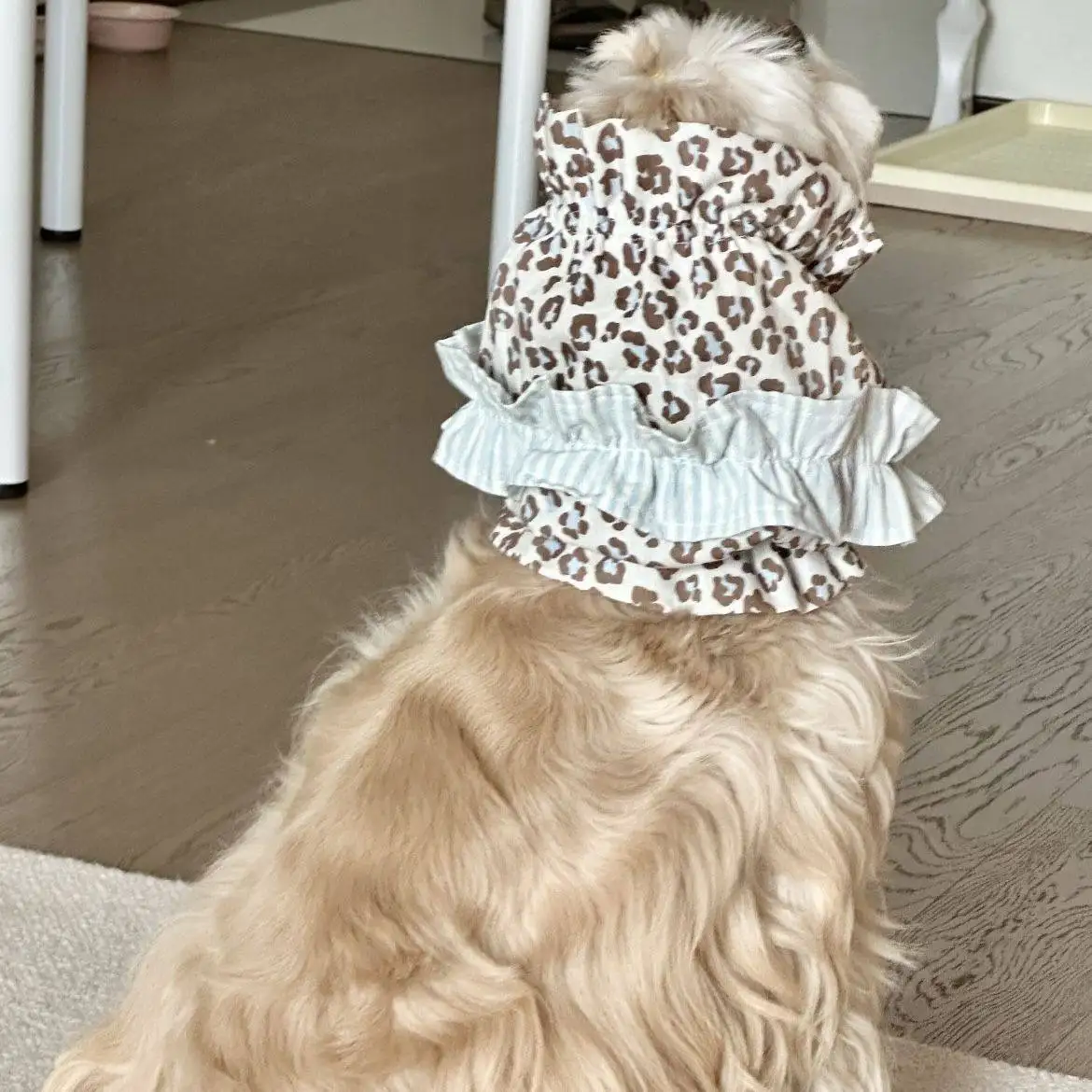 Gorro estilo princesa para perros: accesorio para fotos y paseos - imagen 3