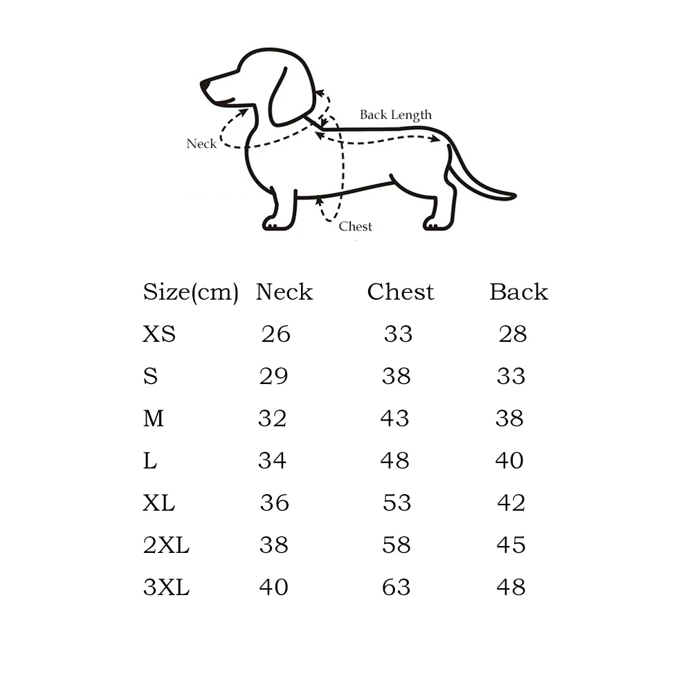 Camiseta transpirable para perro salchicha en día de verano