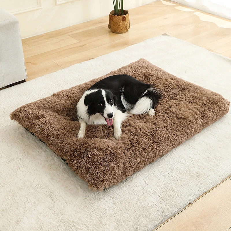 Cama en uso con mascota