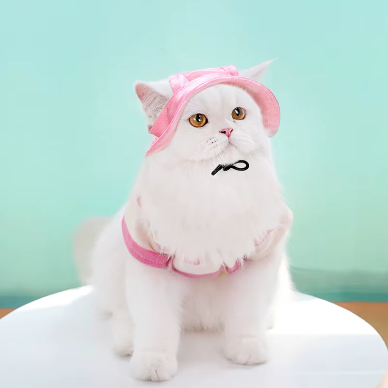 Gorra de béisbol ajustable para perro y gato con agujeros para orejas