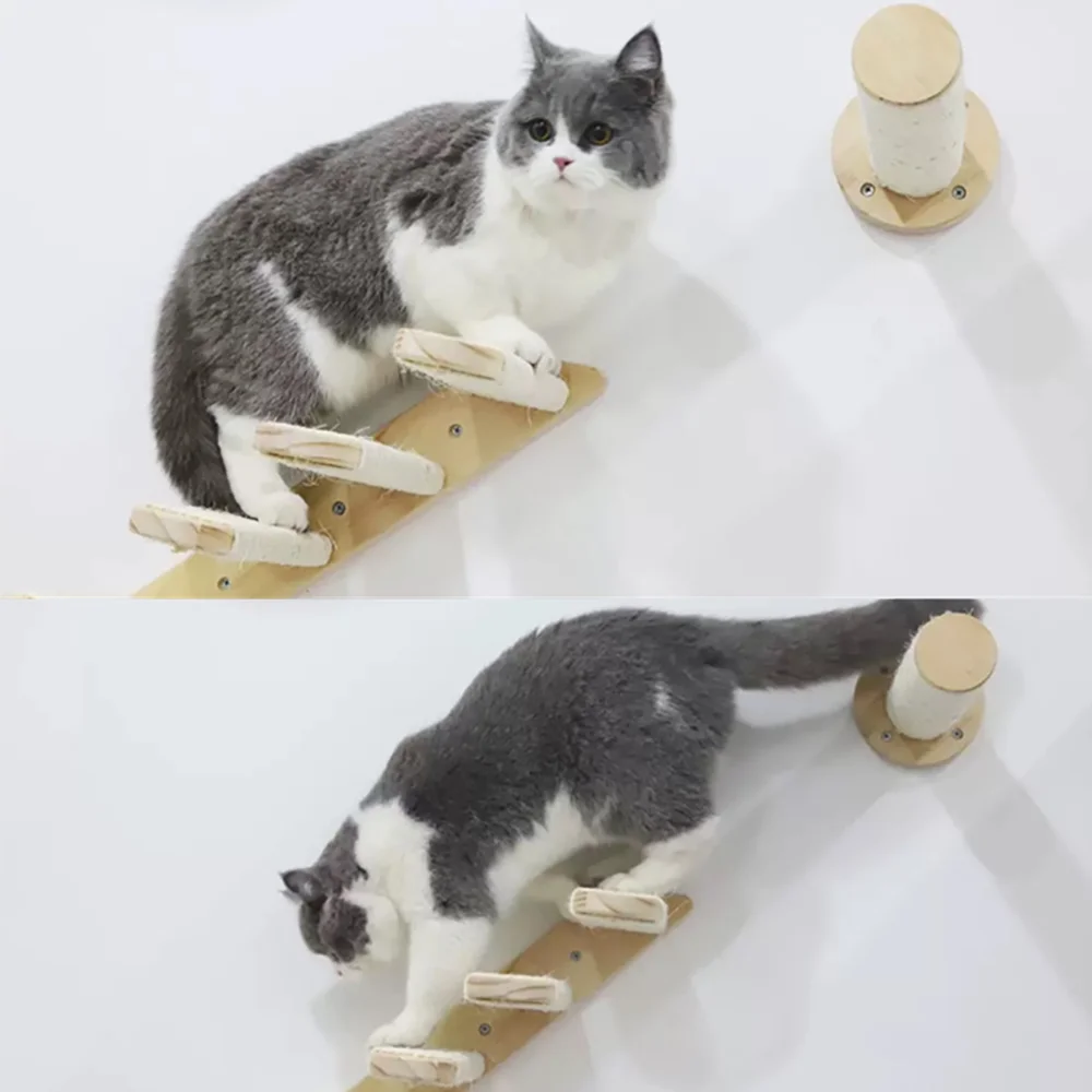 Perchas y estantes para gatos montados en pared