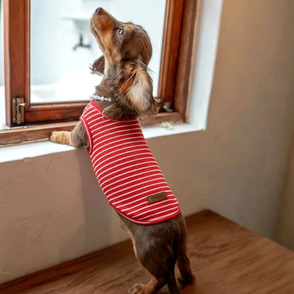 Camiseta a rayas para dachshund