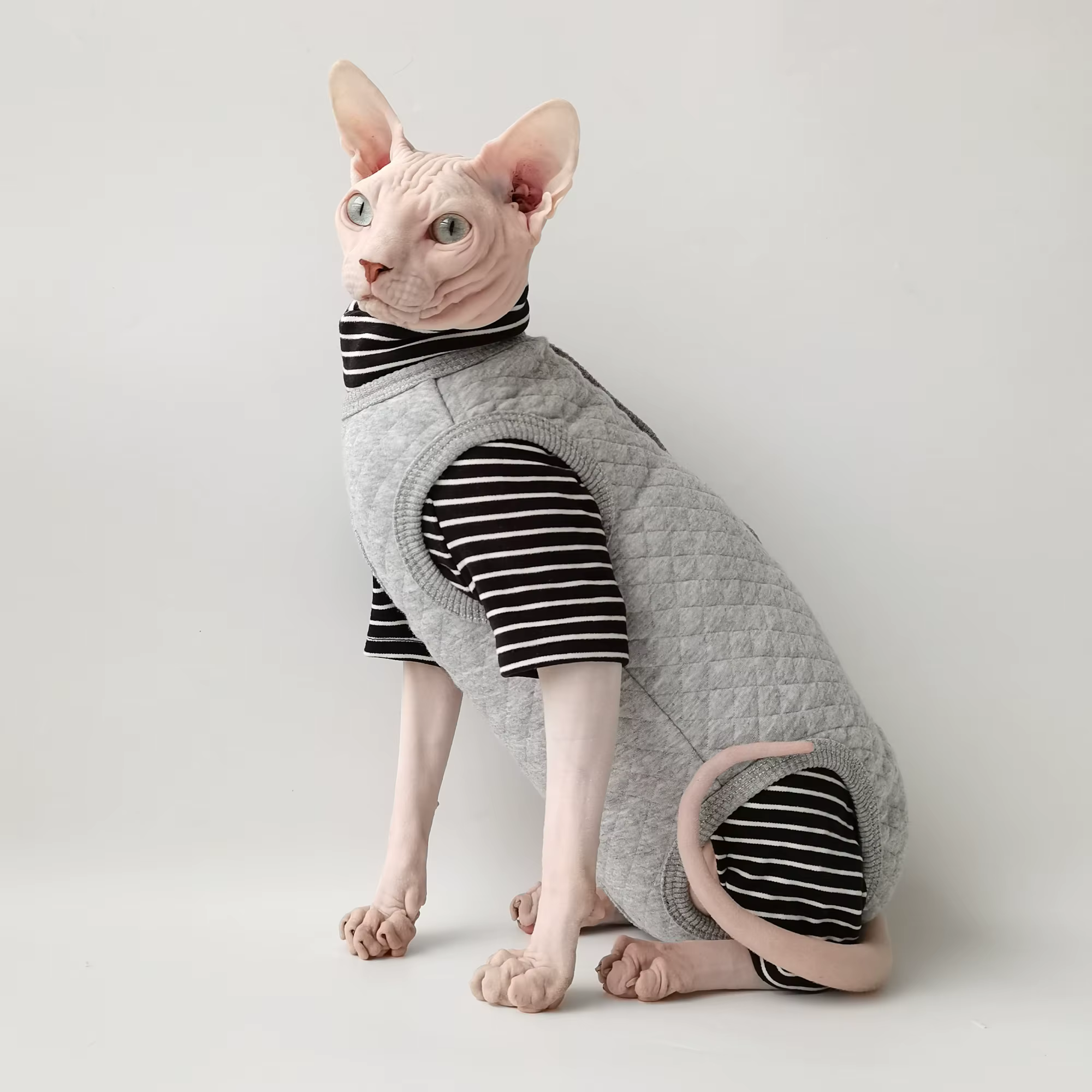 Abrigo invierno para gato Sphynx: vientre protegido, gris cálido - imagen 3