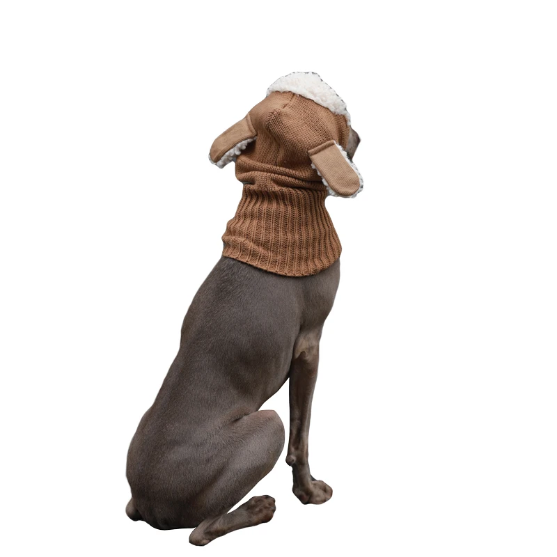 Perro de raza Golden Retriever usando el gorro en otoño