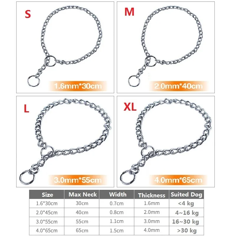 Collar colocado en perro mediano mostrando ajuste