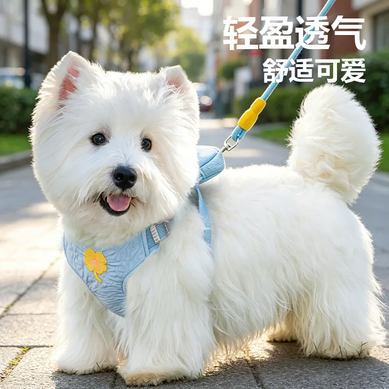 Arnés de pecho con correa para pasear perros pequeños y medianos - imagen 2