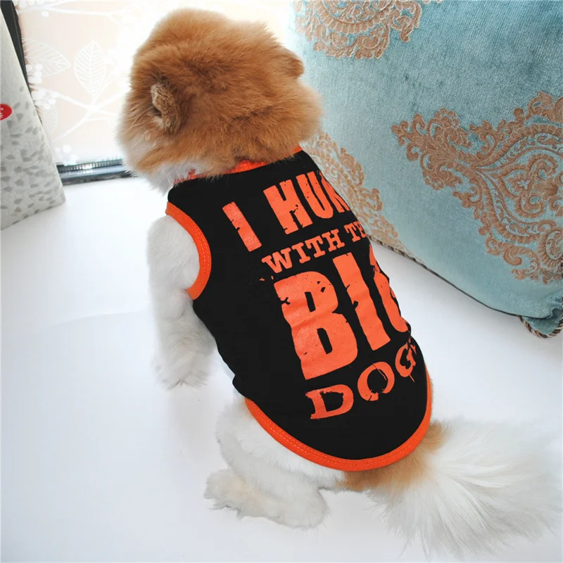 Camiseta de verano con chaleco refrigerante para perros y gatos – Chihuahua y caniche - imagen 4
