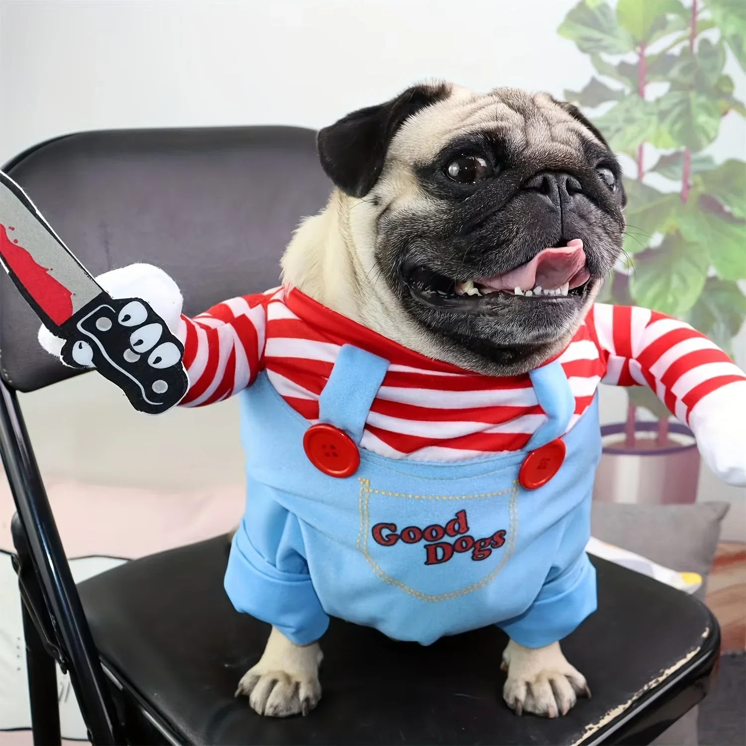 Foto de perfil del perro disfrazado de Chucky
