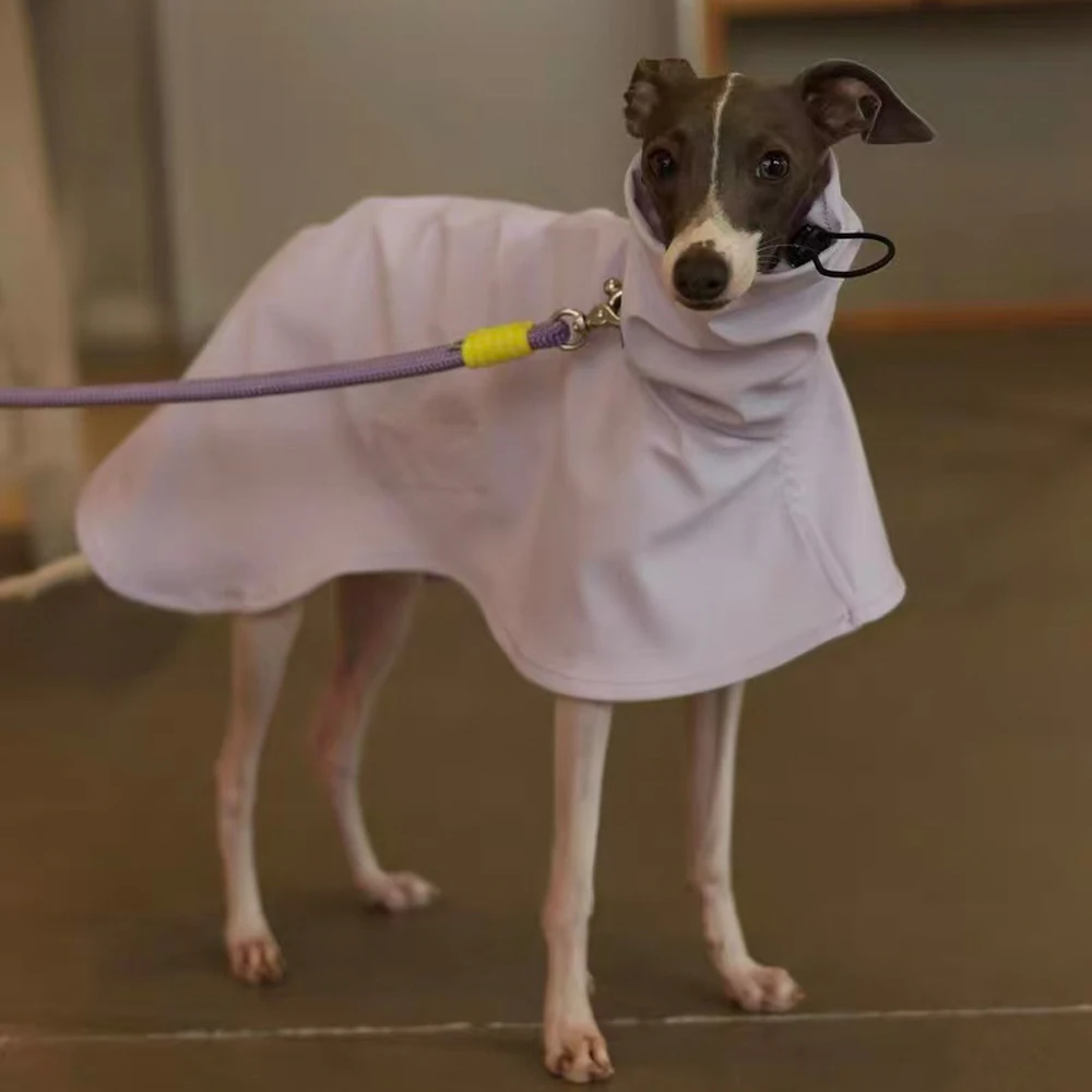Perro con la capa impermeable en posición de descanso