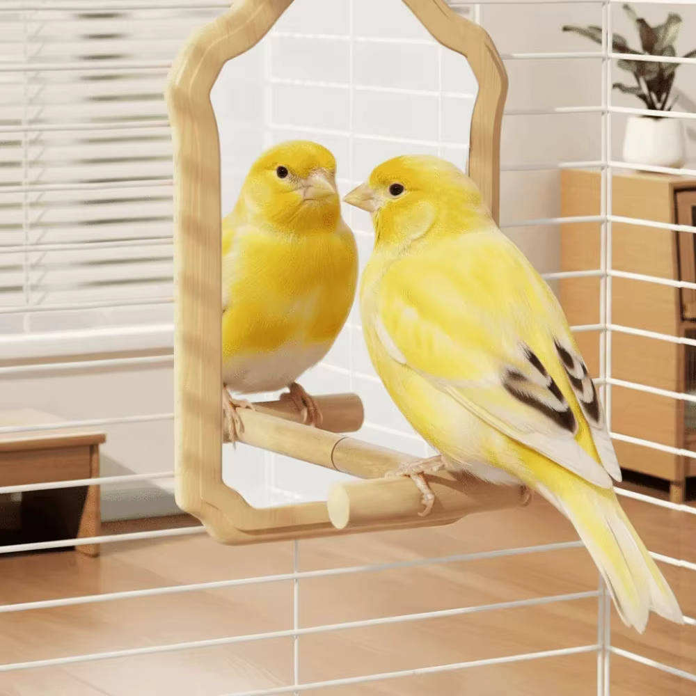 Vogelspiegel Zitstok contenido del paquete