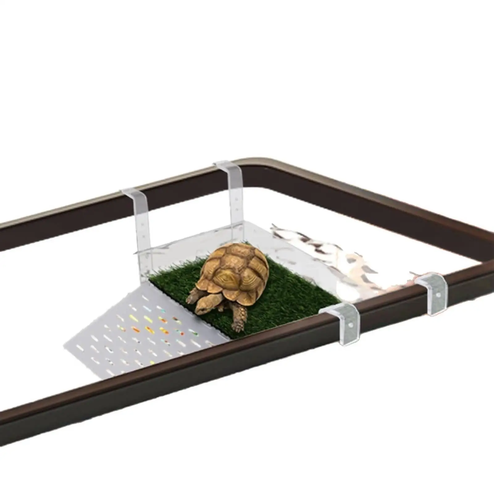 Plataforma descanso tortugas ajustable antideslizante acrílico - imagen 3