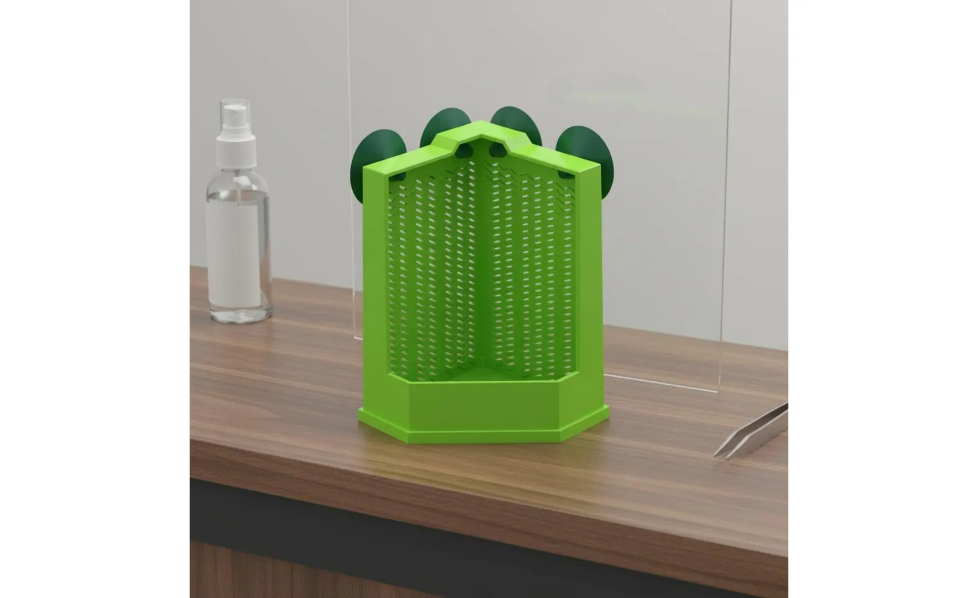 Comedero para terrario fácil de usar y limpiar