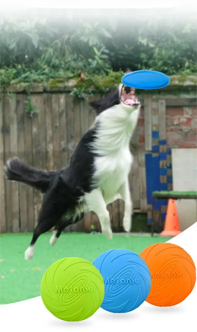 Persona lanzando disco volador para perro en parque