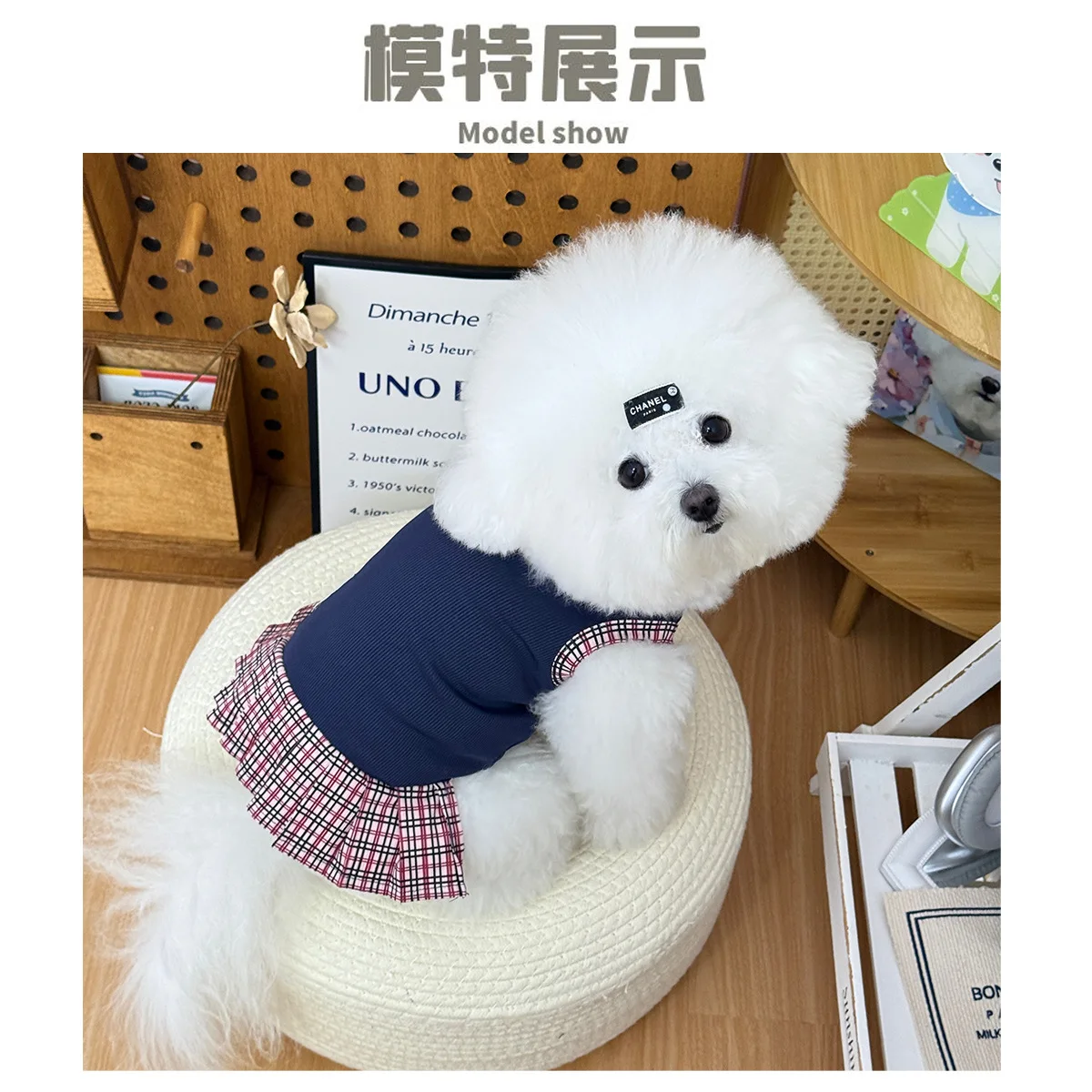 Mascota posando con la ropa Miss Doggy