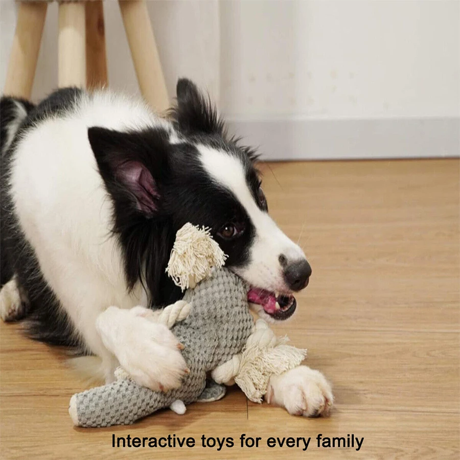 Perro jugando con el juguete de peluche