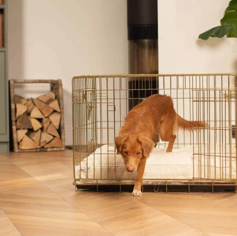 Colchoneta gruesa universal para jaula de perro suave y cómoda - imagen 2