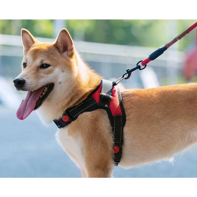 Arnés tipo chaleco resistente para Golden y Chihuahua, ideal perros - imagen 4