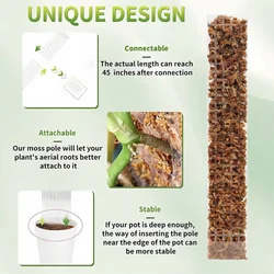 Postes de musgo para plantas trepadoras: soporte de esfagno