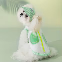 Chaleco refrescante para perros y gatos – Bolsa de hielo incluida