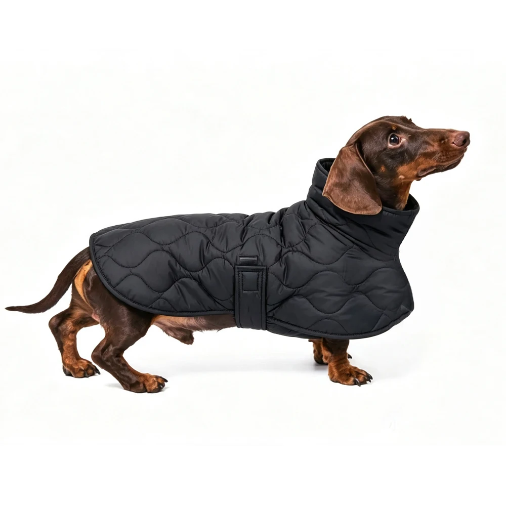 Abrigo impermeable con cinturón ajustable para perros Dachshund - imagen 2
