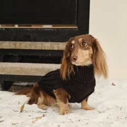 Abrigo de invierno para perros salchicha: suéter manga larga