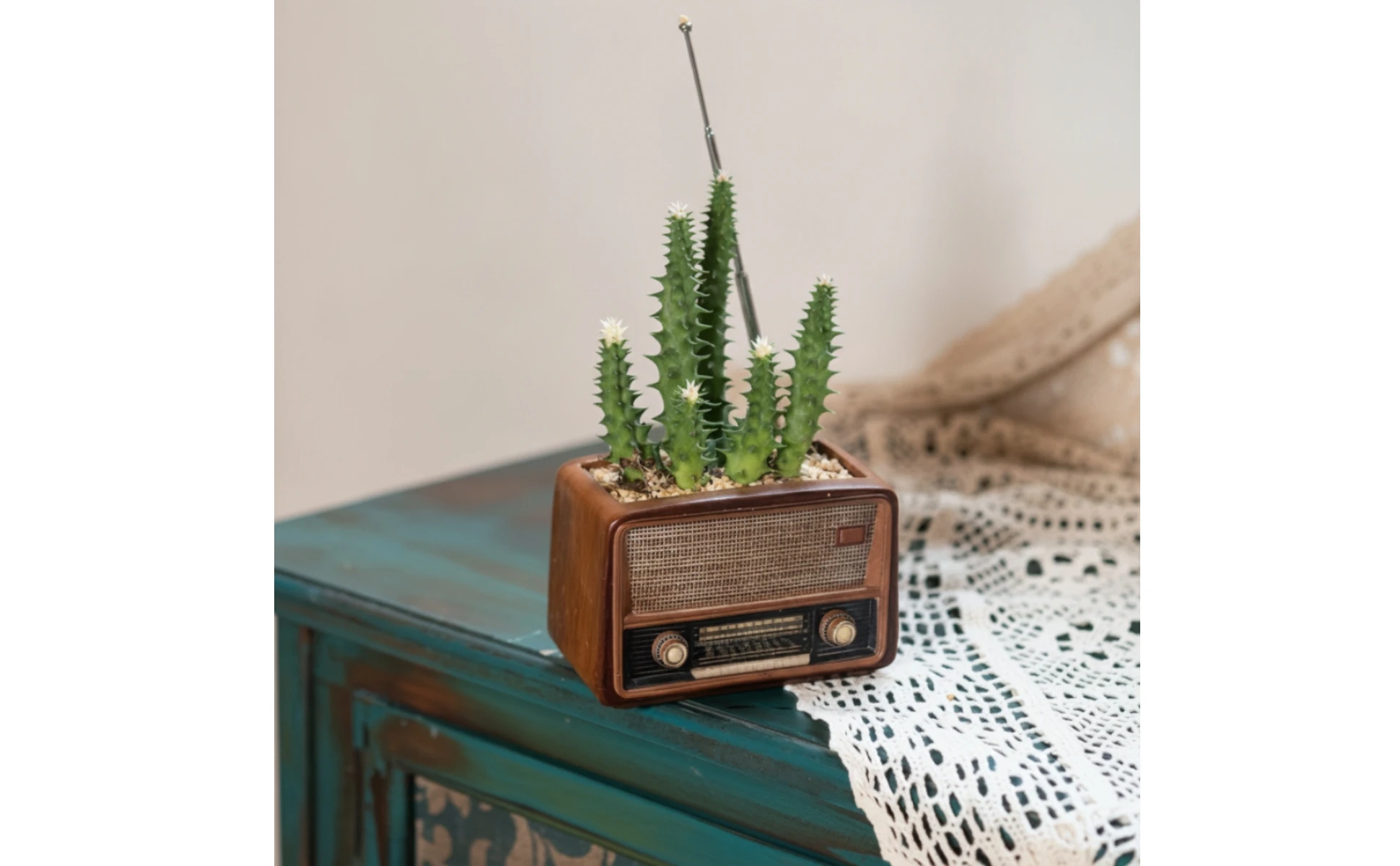 Maceta con Radio Vintage - Vista lateral