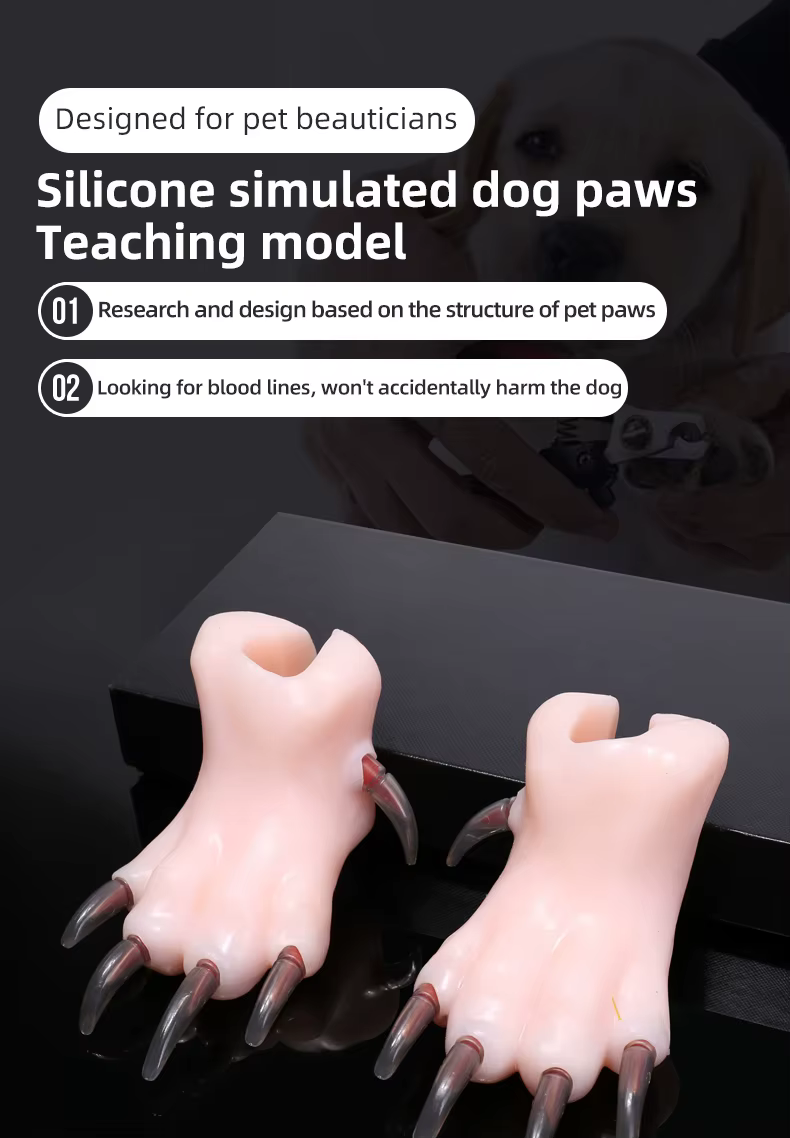 Modelo de silicona realista para práctica de corte de uñas