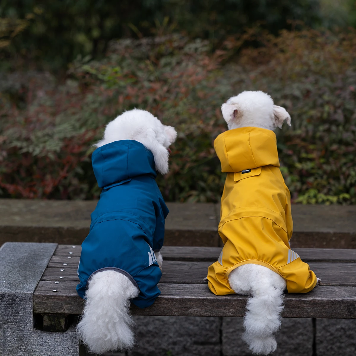 Chaqueta reflectante para gatos
