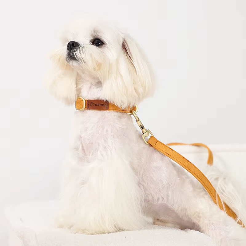 Arnés de gamuza con lazo ajustable para perro – Exterior y entrenamiento - imagen 5