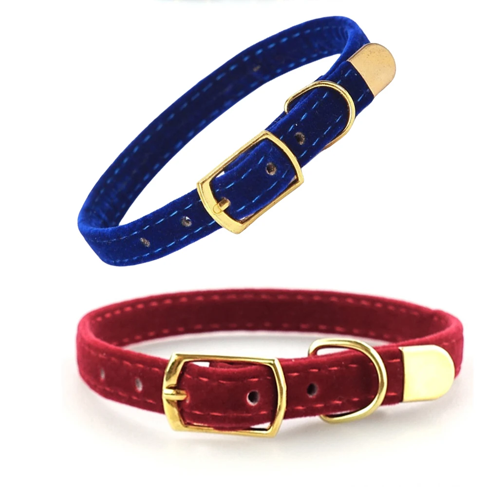 Collar ajustable para gatos y perros pequeños, seguro y resistente