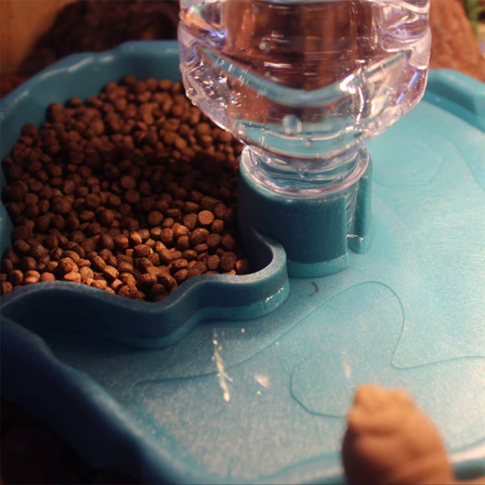 Dispensador automático de agua y alimento para tortugas de terrario